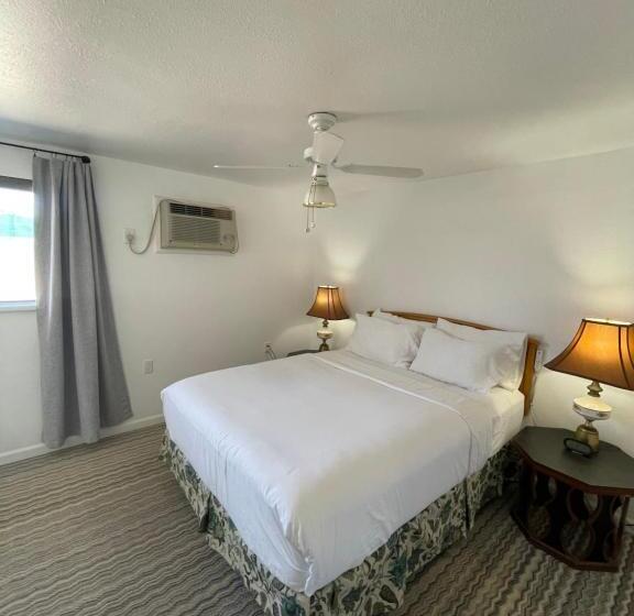 주니어 스위트, The Aztec Motel & Creative Space