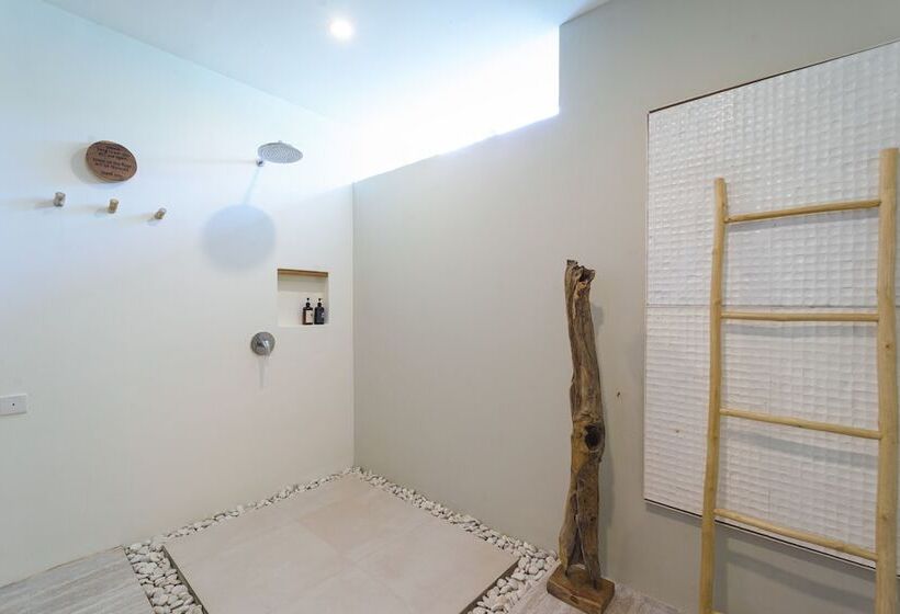 スタンダードルーム, El Tropico Boutique