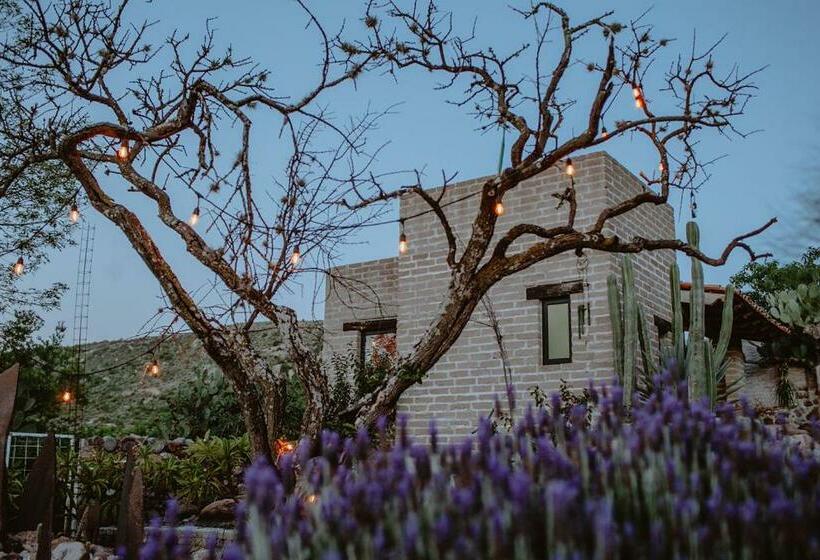 标准间带山景, Lavanda Aldea Holística