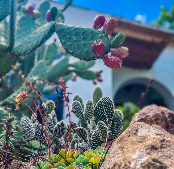 带大床的标准间, Lavanda Aldea Holística