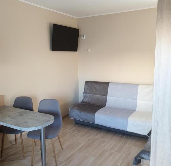 Номер Стандарт, Minerál