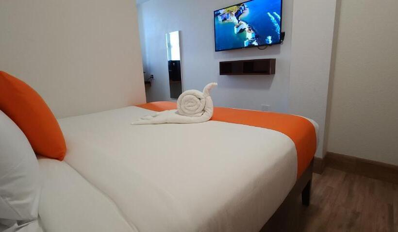 带大床的豪华间, Voyager Sun & Reef