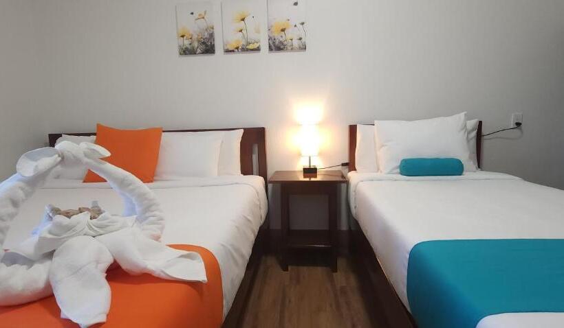 豪华三人间, Voyager Sun & Reef