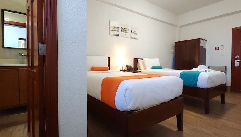 豪华房间, Voyager Sun & Reef