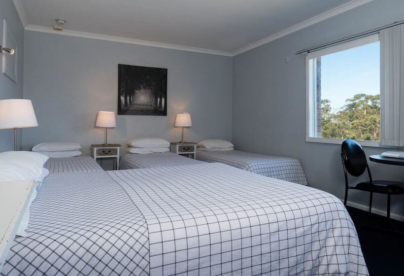 غرفة قياسية, Blue Mountains Highway Motel