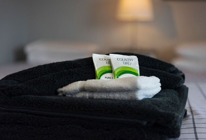 غرفة قياسية فردية, Blue Mountains Highway Motel