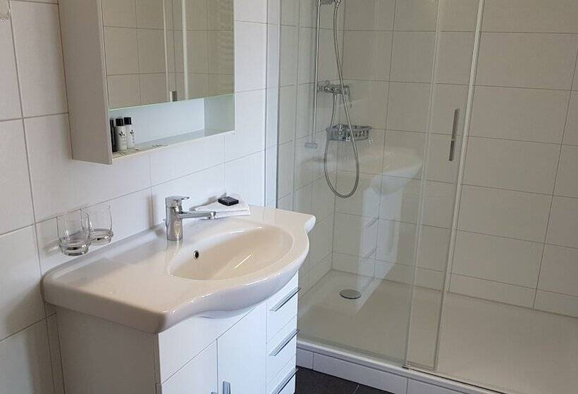 Полулюкс с Балконом, Baren Sigriswil