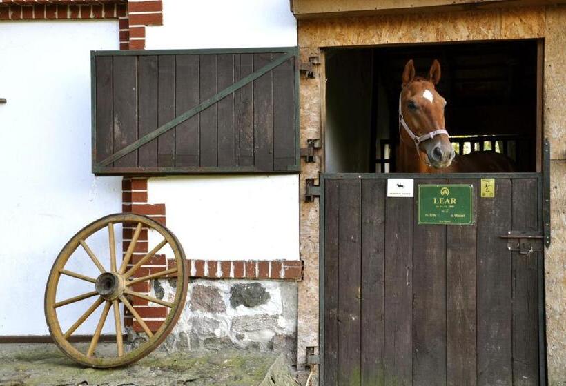 חדר סטנדרט, Palace Popowo Stare