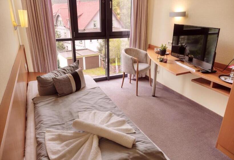 스탠다드 싱글 룸, Regiohotel Am Brocken Schierke