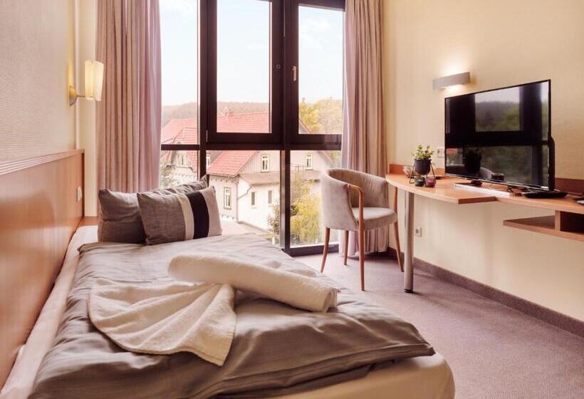 스탠다드 싱글 룸, Regiohotel Am Brocken Schierke