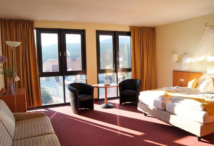 주니어 스위트, Regiohotel Am Brocken Schierke