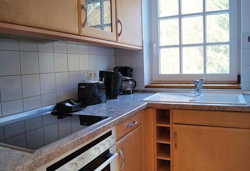 침실 1개 아파트, Regiohotel Am Brocken Schierke