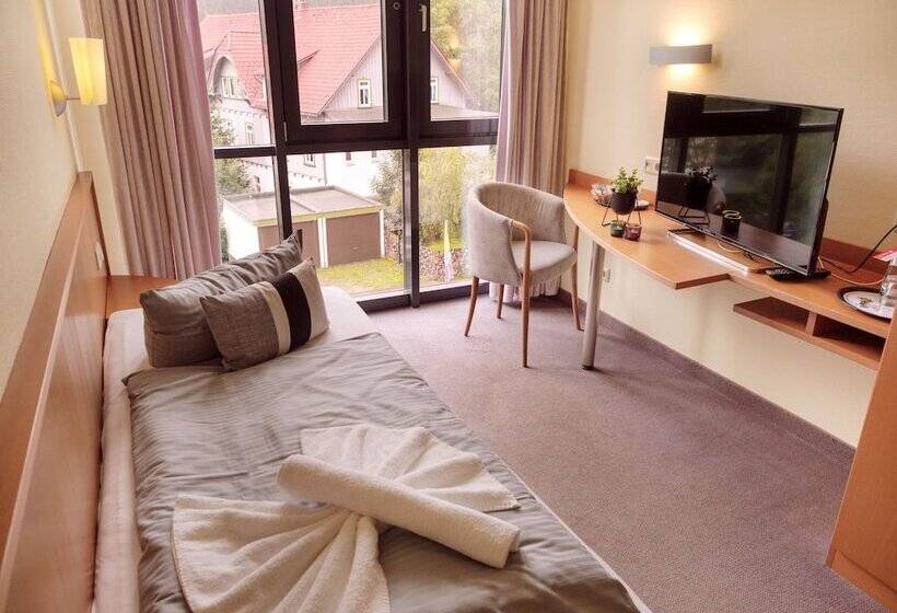 스탠다드 싱글 룸, Regiohotel Am Brocken Schierke
