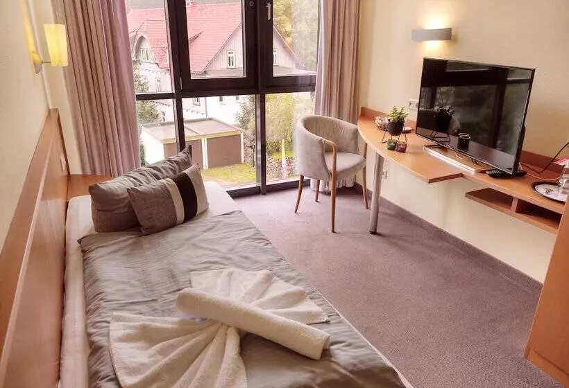スタンダードシングルルーム, Regiohotel Am Brocken Schierke