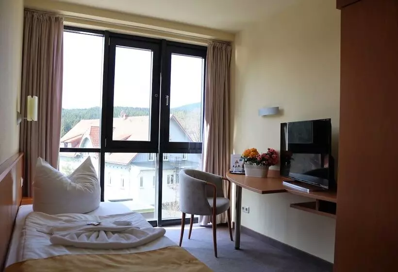 スタンダードシングルルーム, Regiohotel Am Brocken Schierke