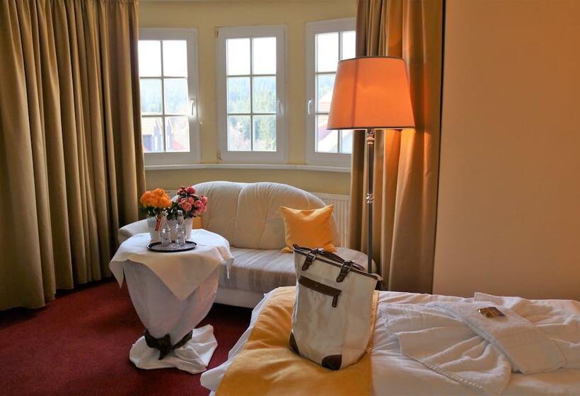 Номер Стандарт, Regiohotel Am Brocken Schierke