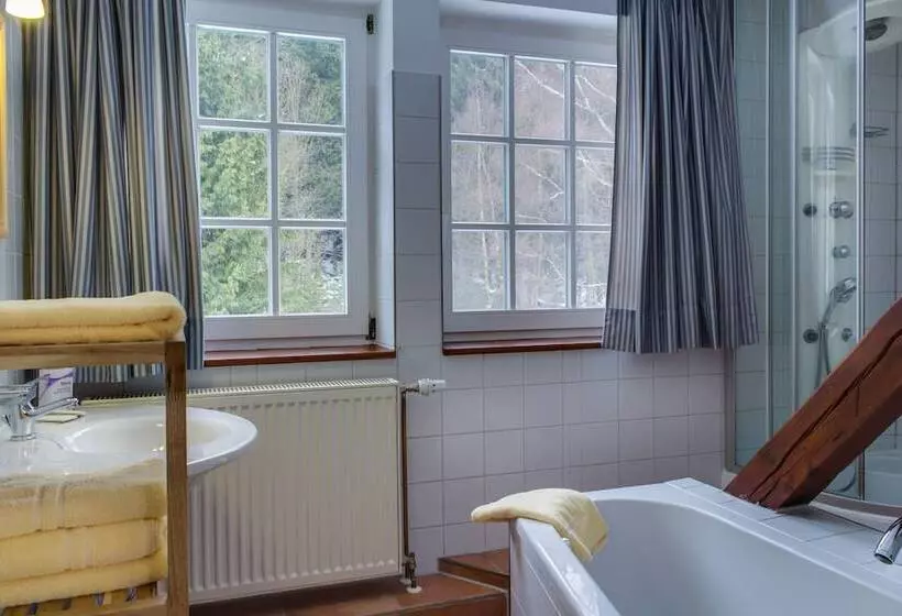 １ベッドルームアパートメント, Regiohotel Am Brocken Schierke