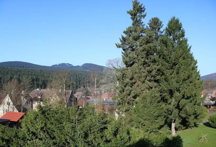 １ベッドルームアパートメント, Regiohotel Am Brocken Schierke