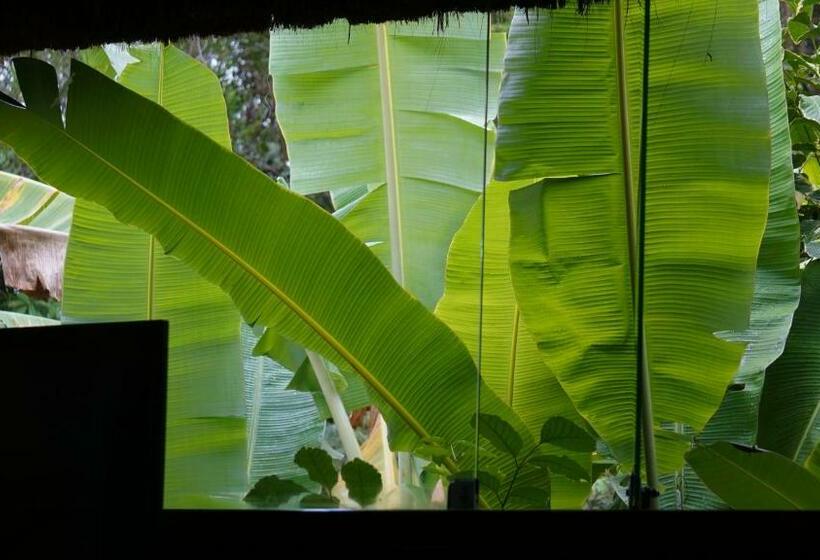 スーペリアーバンガロー, Soleluna Casa Pousada