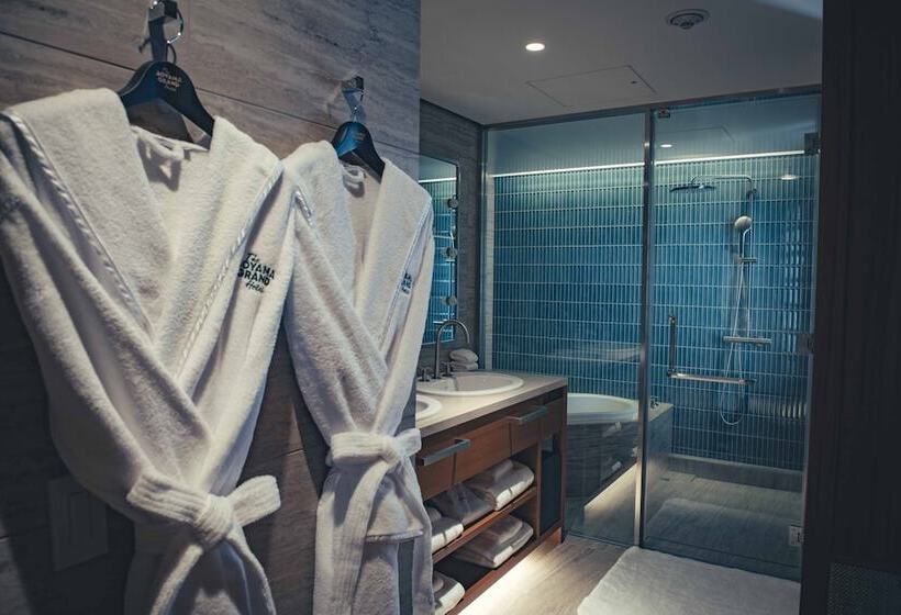 琮城市景观的豪华间, The Aoyama Grand