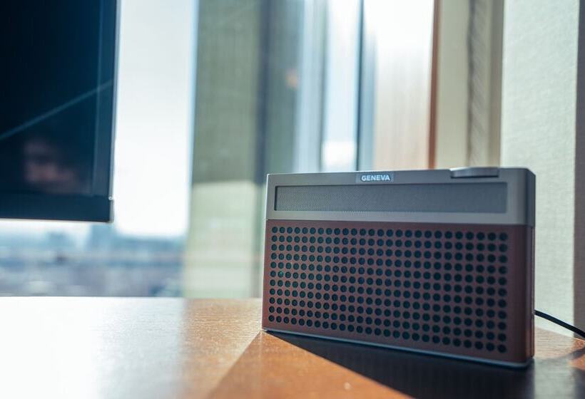 带城市景观的套间, The Aoyama Grand