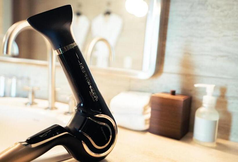 带城市景观的高级房间, The Aoyama Grand