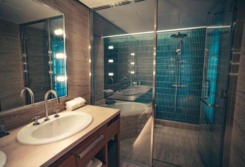 带城市景观的套间, The Aoyama Grand