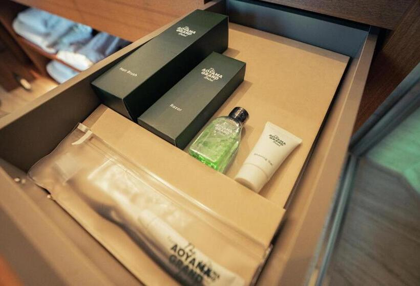 标准房带园景, The Aoyama Grand