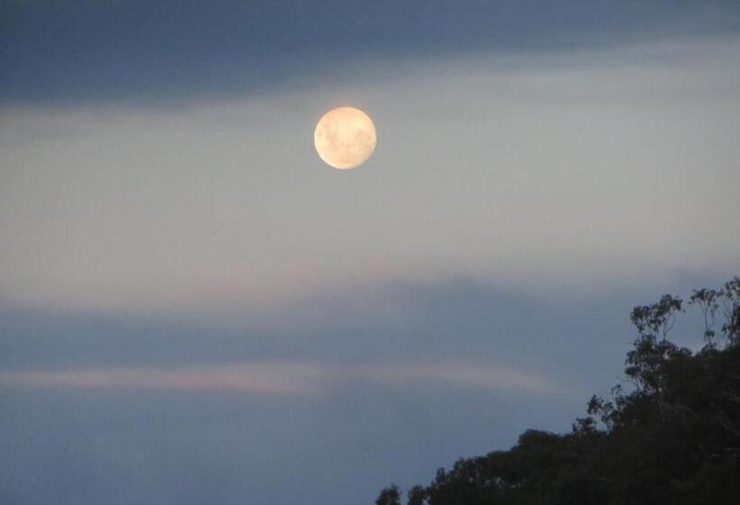 חדר סטנדרט לשלושה עם נוף לגינה, Eildon Parkview Motor Inn Room 8