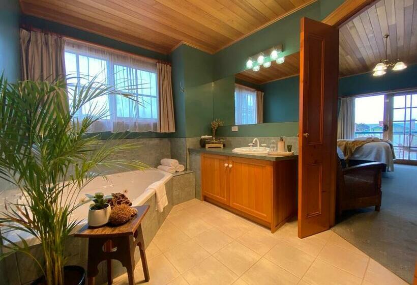 Люкс Кровать Кинг, Hanlon Guest House