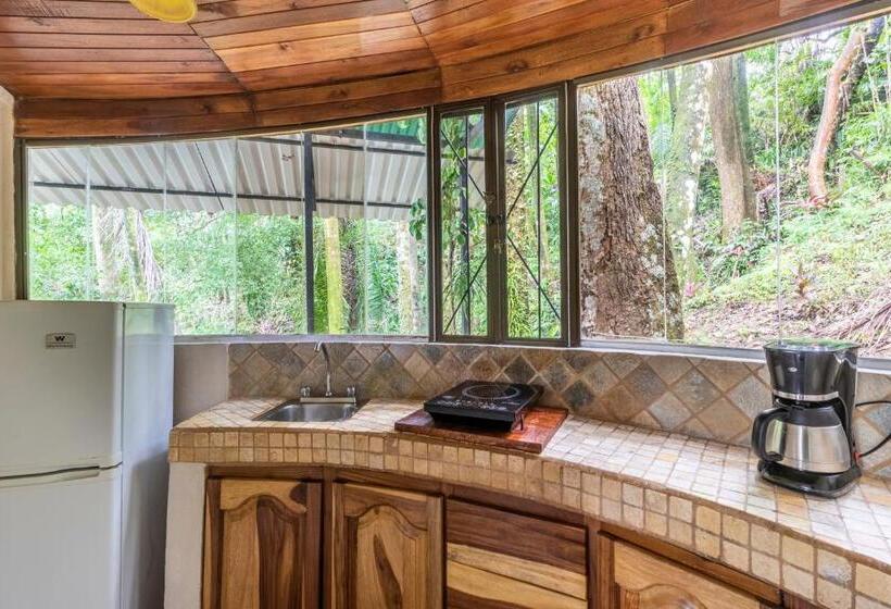 스탠다드 전망 룸, Boutique Hotel Las Cascadas