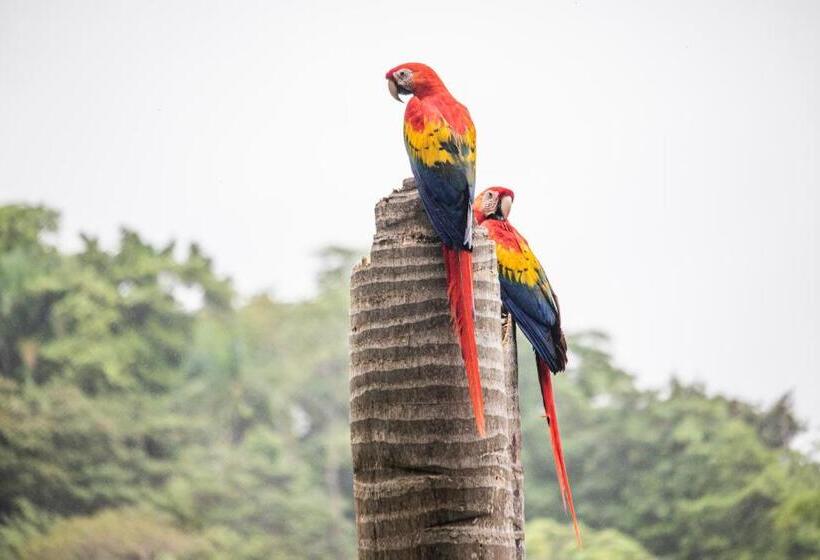 스탠다드 전망 룸, Boutique Hotel Las Cascadas