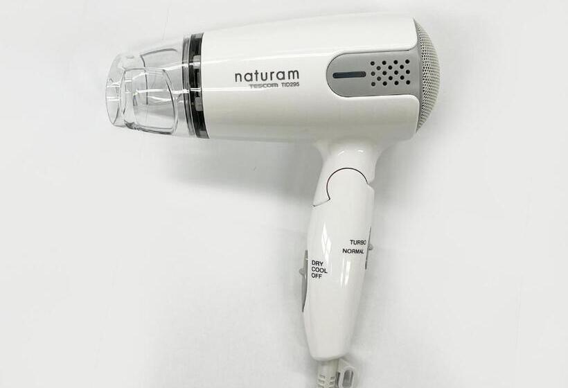 غرفة قياسية, Route Inn Grantia Akita Spa Resort