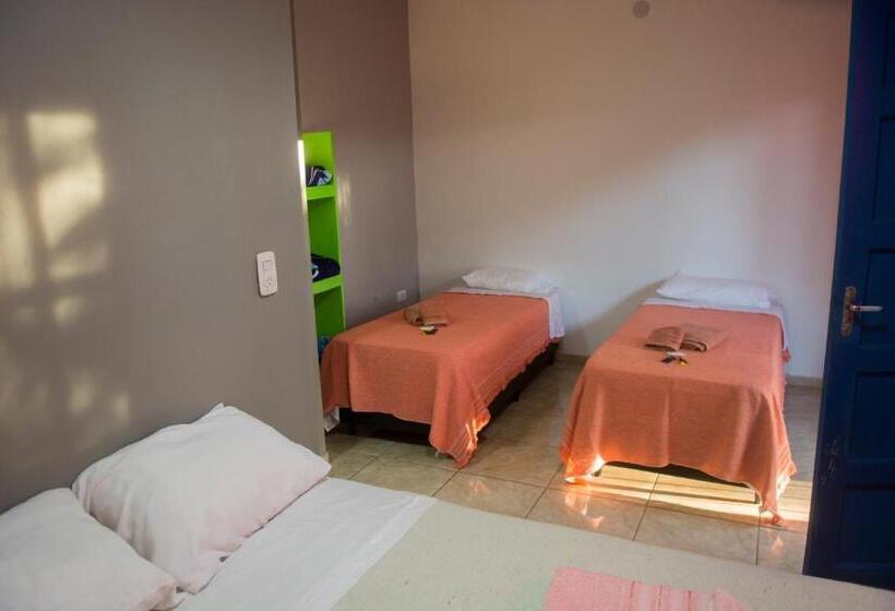 غرفة قياسية ثلاثية مطلة علي حمام السباحة, Caminito Del Iguazu