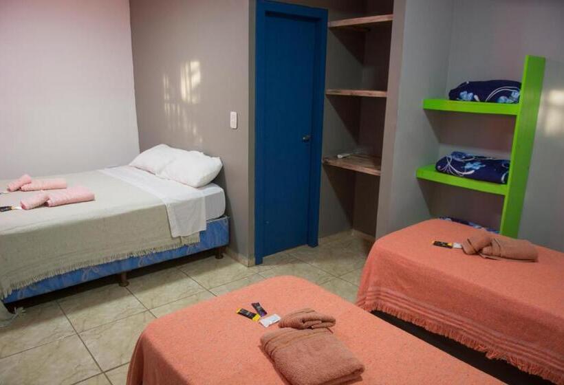 غرفة عائلية, Caminito Del Iguazu