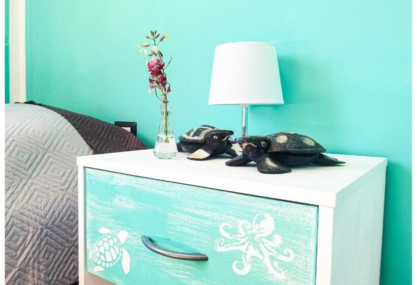 Кровать в Общей Комнате, Eco Hostel Vela Vega