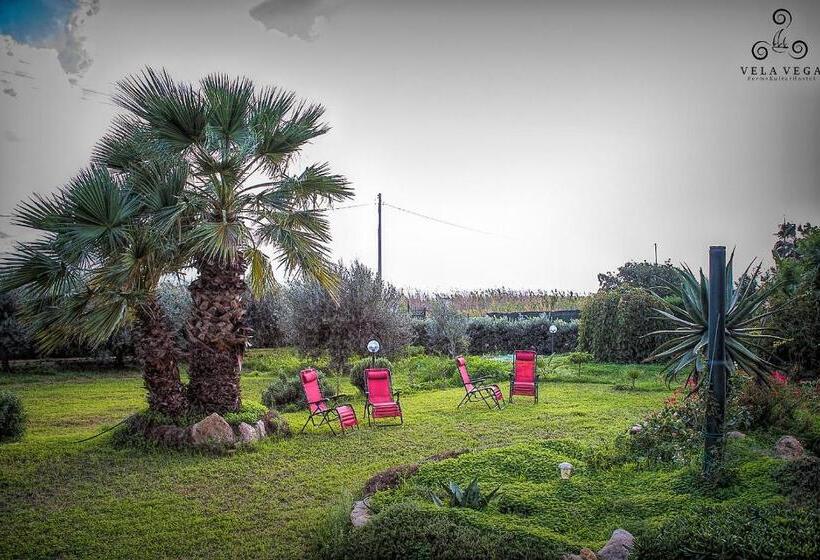 Standard Tent, Eco Hostel Vela Vega