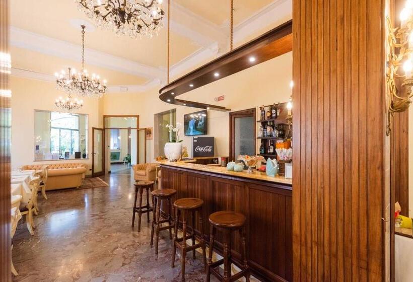 标准单人间, Belvedere