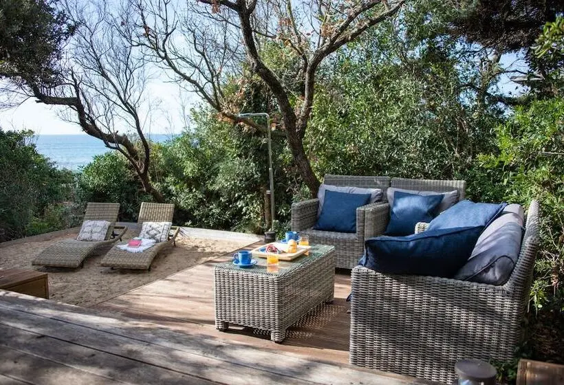 海の見えるエクゼクティブスイート, Mariva Dune Suites