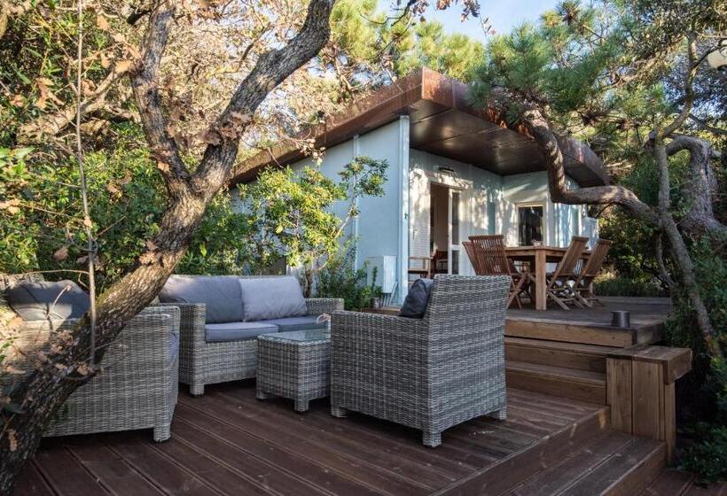 海の見えるエクゼクティブスイート, Mariva Dune Suites