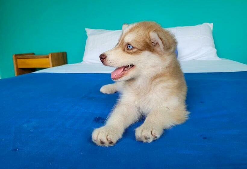 Номер Deluxe с Балконом, Puerta Aqua By La Puerta Hostels