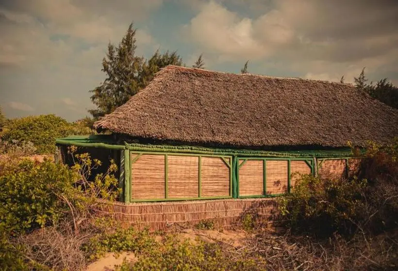 بانگلوی استاندارد, Kizingo Beach Eco Lodge
