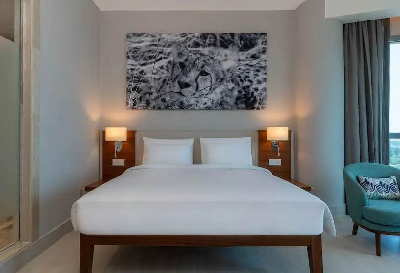اتاق اجرایی, Radisson Blu Hotel, Juba