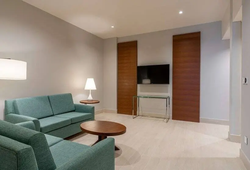 سوئیت مدیریتی 2 خوابه, Radisson Blu Hotel, Juba