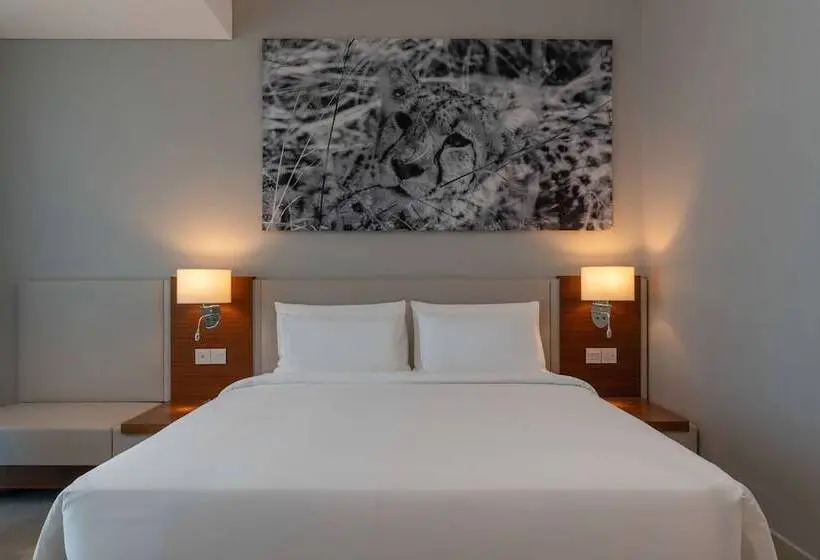 سوئیت مدیریتی 2 خوابه, Radisson Blu Hotel, Juba
