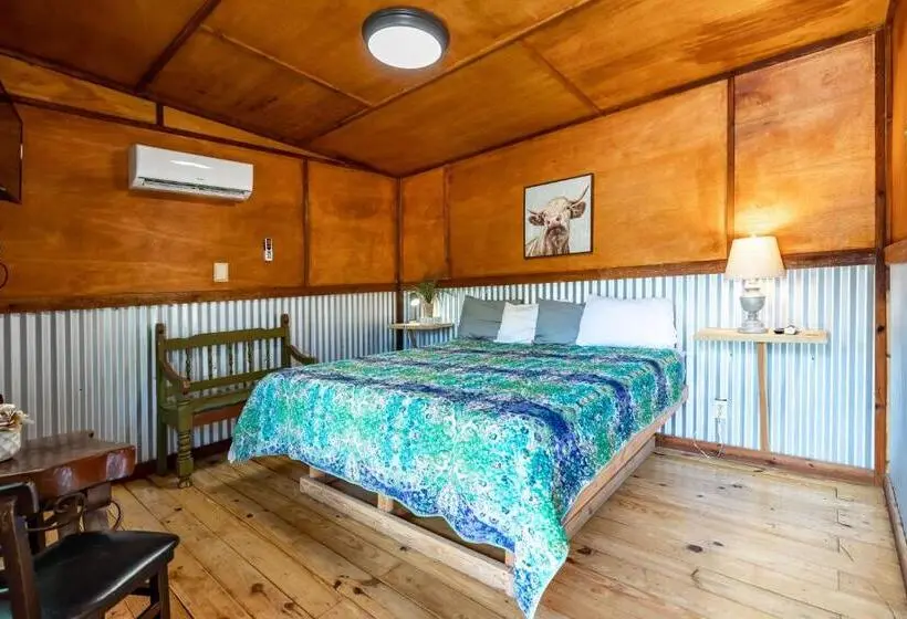 キングサイズベッドのスタンダードルーム, The Historic Leakey Inn