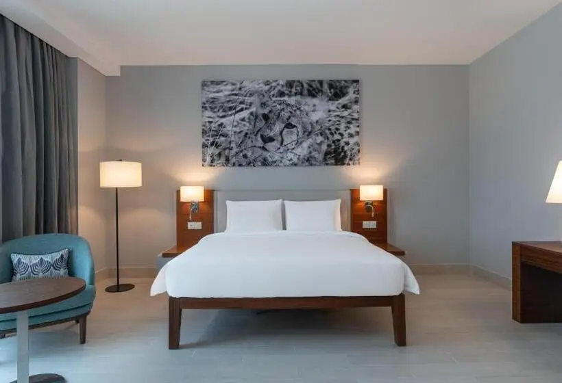 سوئیت پریمیوم, Radisson Blu Hotel, Juba