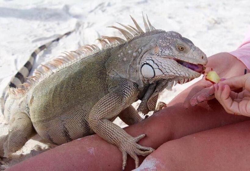 آپارتمان 2 خوابه, Homesweetbeachhome