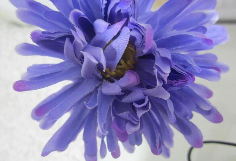 Habitació Estàndard, Hostal Avenida