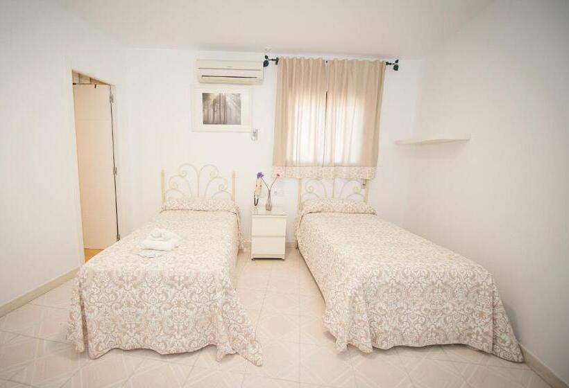 Habitació Estàndard, Hostal Avenida